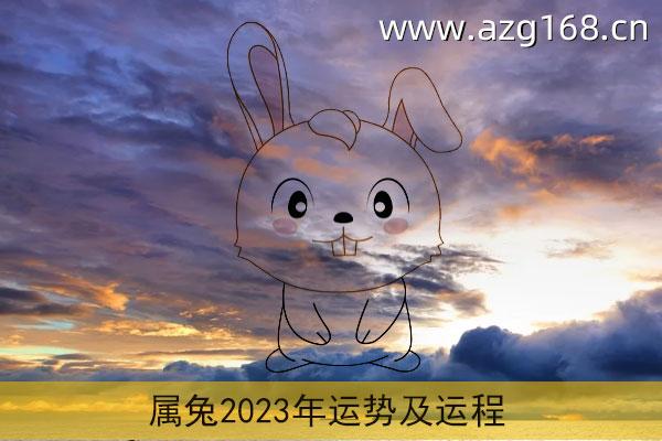 2023年运势及每月运势 生肖兔2023年运势及每月运势(1)