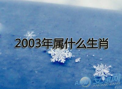 2003年属什么生肖(2003年属什么生肖五行属于什么命)(1)